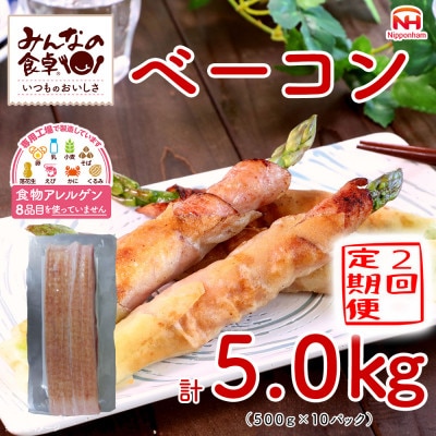 【毎月定期便】みんなの食卓 ベーコン 500g×10パック 日本ハム全2回