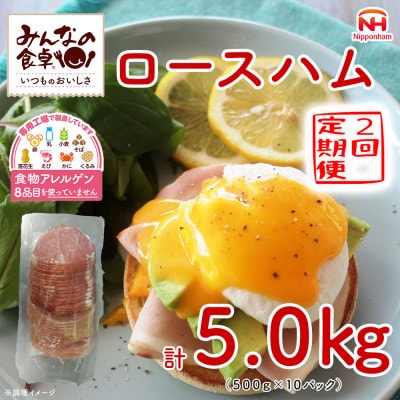 【毎月定期便】みんなの食卓 ロースハム 500g×10パック 日本ハム全2回