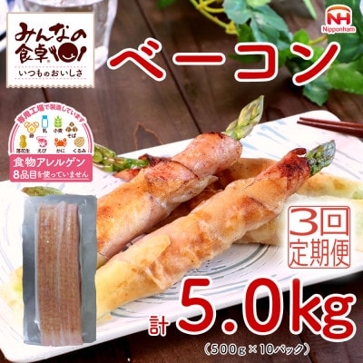 【毎月定期便】みんなの食卓 ベーコン 500g×10パック 日本ハム全3回