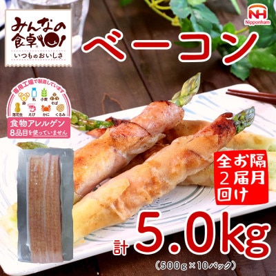 【2ヵ月毎定期便】みんなの食卓 ベーコン 500g×10パック 日本ハム全2回