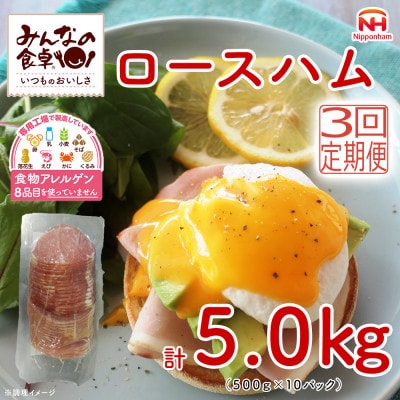 【毎月定期便】みんなの食卓 ロースハム 500g×10パック 日本ハム全3回