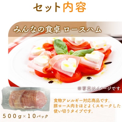 【2ヵ月毎定期便】みんなの食卓 ロースハム 500g×10パック 日本ハム全2回