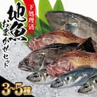 地魚おまかせセット(下処理済) 計1kg以上(3～5種類入) 産地直送