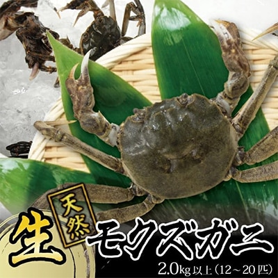生・天然モクズガニ 1箱(2kg以上) 12～20匹