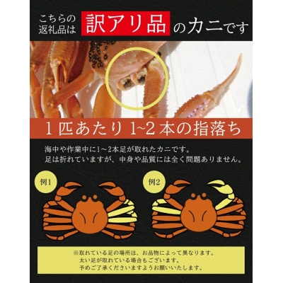 訳あり 酒田沖 生・本ズワイガニ2匹 650g程度(1匹1～2本程度足取れ)