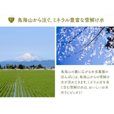 ≪新米予約≫ 雪若丸 精米 5kg 令和7年産米 山形県酒田産