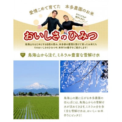 ひとめぼれ 精米 5kg 令和7年産米 山形県酒田産