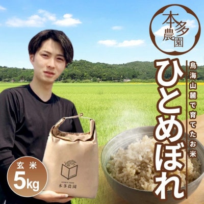 ひとめぼれ 玄米 5kg 令和7年産米 山形県酒田産
