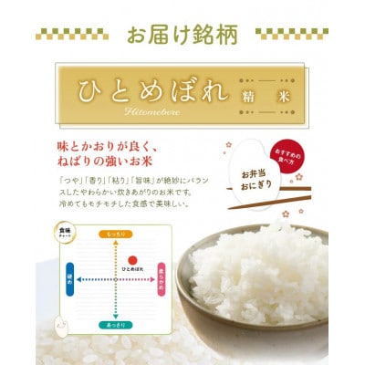 ひとめぼれ 精米 10kg(5kg×2袋) 令和7年産米 山形県酒田産