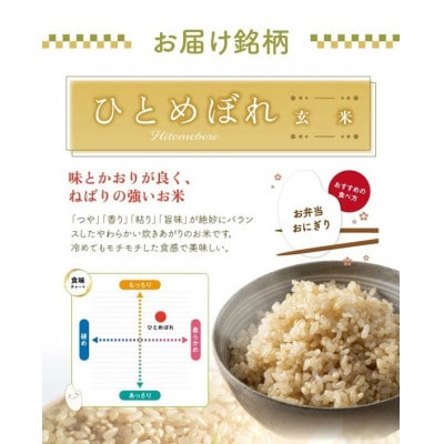 ひとめぼれ 玄米 10kg(5kg×2袋) 令和7年産米 山形県酒田産