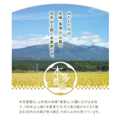 はえぬき 精米 10kg(5kg×2袋) 令和7年産米 山形県酒田産