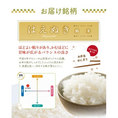 はえぬき 精米 10kg(5kg×2袋) 令和7年産米 山形県酒田産