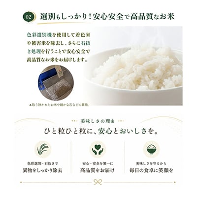 はえぬき 精米 10kg(5kg×2袋) 令和8年産米 山形県酒田産