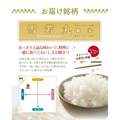 雪若丸 精米 10kg(5kg×2袋) 令和7年産米 山形県酒田産