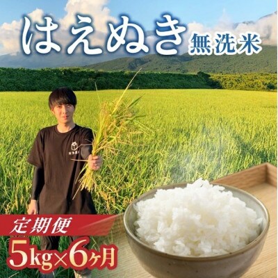 【発送月固定定期便】《先行受付》無洗米 はえぬき 5kg全6回