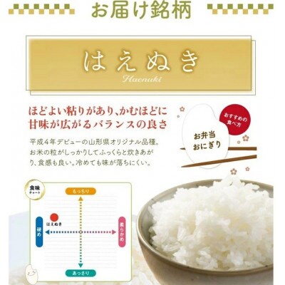 【発送月固定定期便】《先行受付》無洗米 はえぬき 5kg全6回