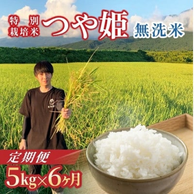 【発送月固定定期便】《先行受付》無洗米　つや姫　5kg全6回