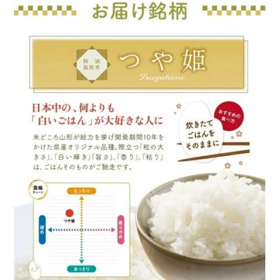 【発送月固定定期便】《先行受付》無洗米　つや姫　5kg全6回