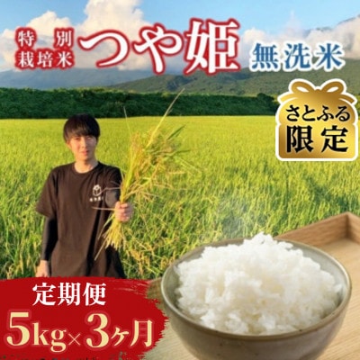 【発送月固定定期便】【さとふる限定】先行受付 無洗米 つや姫 5kg 10～12月発送全3回