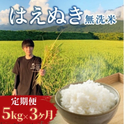 【発送月固定定期便】【さとふる限定】先行受付 無洗米 はえぬき 5kg 10～12月発送全3回