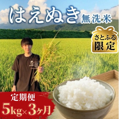 【発送月固定定期便】【さとふる限定】先行受付 無洗米 はえぬき 5kg 10～12月発送全3回