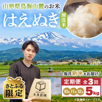 【発送月固定定期便】 新米受付 無洗米 はえぬき 5kg 10～12月発送全3回【さとふる限定】