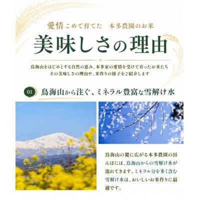 【発送月固定定期便】《先行受付》つや姫 精米 5kg 10月～3月発送全6回