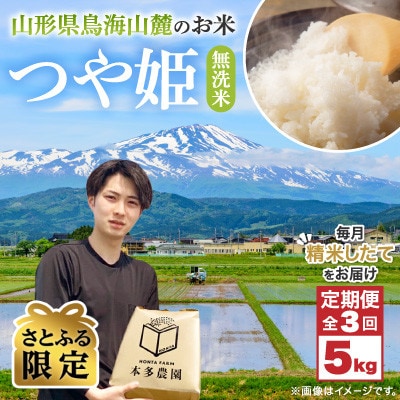 【毎月定期便】【さとふる限定】無洗米 つや姫 5kg全3回