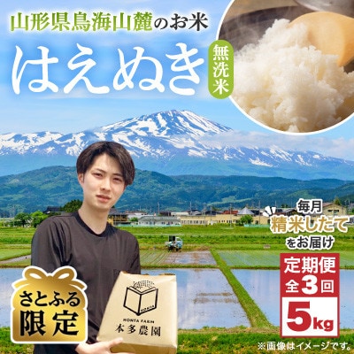 【毎月定期便】【さとふる限定】無洗米 はえぬき 5kg全3回