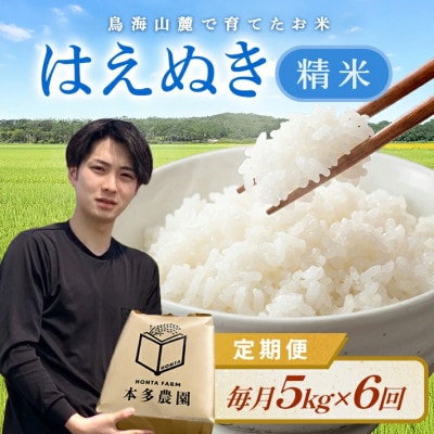 【毎月定期便】はえぬき 精米 5kg全6回
