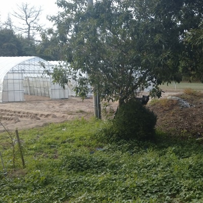 【返礼品なし】熊被害対策支援(山形県酒田市)　寄附金額5,000円