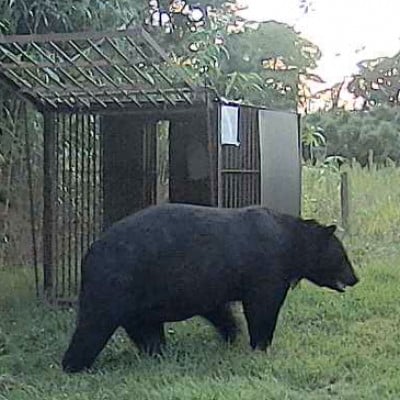【返礼品なし】熊被害対策支援(山形県酒田市)　寄附金額5,000円