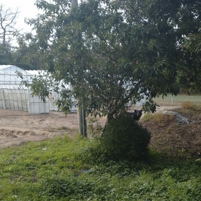 【返礼品なし】熊被害対策支援(山形県酒田市)　寄附金額10,000円