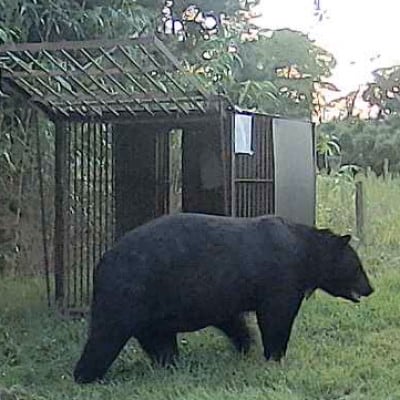 【返礼品なし】熊被害対策支援(山形県酒田市)　寄附金額10,000円