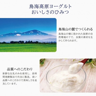 鳥海高原ヨーグルト　甘さすっきり加糖　400g×5個