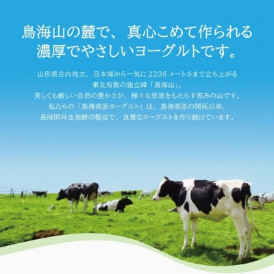 【毎月定期便】鳥海高原のむヨーグルト 加糖・150ml　12本全3回
