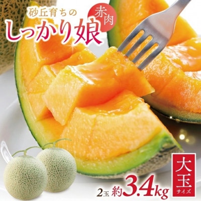 庄内赤肉メロン「しっかり娘」　約3.4kg(赤肉/2玉入/つる付き)