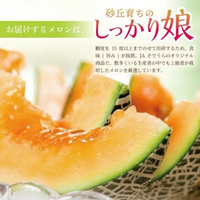 庄内赤肉メロン「しっかり娘」　約3.4kg(赤肉/2玉入/つる付き)
