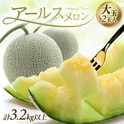 アールスメロン 大玉　計3.2kg以上(2玉入) つる付き