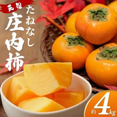 庄内柿　約4kg(22～32玉入)