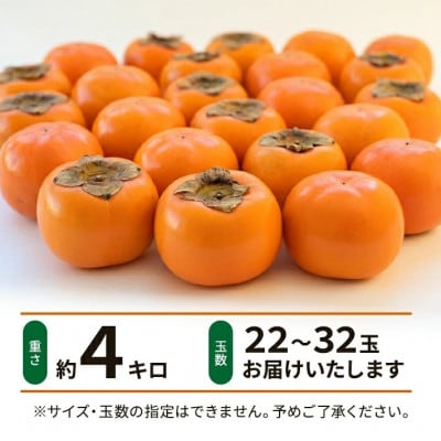 庄内柿　約4kg(22～32玉入)