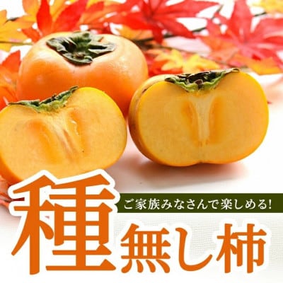 庄内柿　約4kg(22～32玉入)