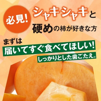 庄内柿　約7.2kg(40玉入)　Mサイズ