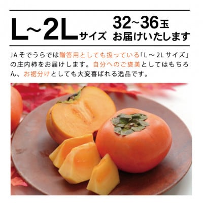 庄内柿　約7.2kg(32～36玉入)　L～2Lサイズ