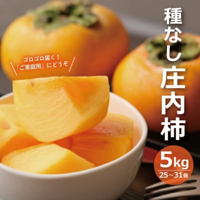 【先行予約】庄内柿 約5kg 25～31玉