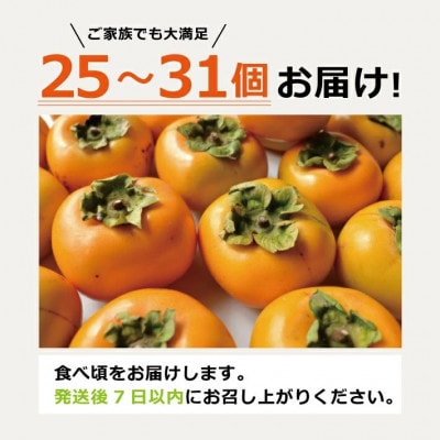 【先行予約】庄内柿 約5kg 25～31玉