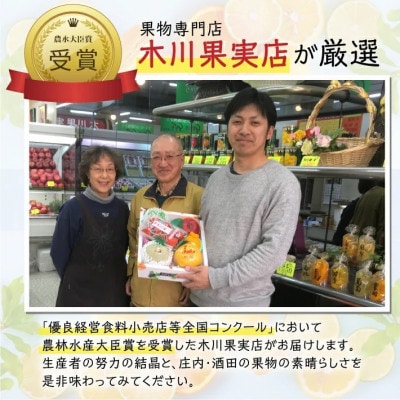 【先行予約】庄内柿 約5kg 25～31玉