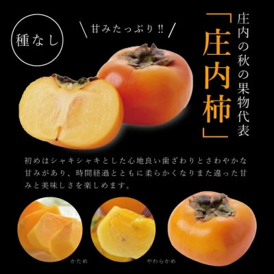 【先行予約】庄内柿 約5kg 26玉