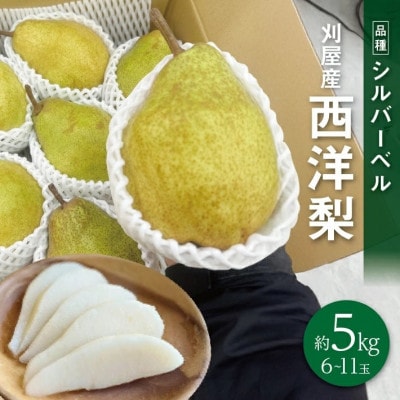酒田の果物専門店厳選　シルバーベル(洋梨)　約5kg(6～11玉入)