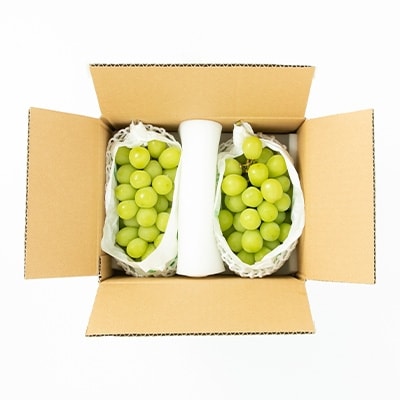 【大人気】ぶどう名産地やまなしの濃厚シャインマスカット　秀品　約900g(2房)入り